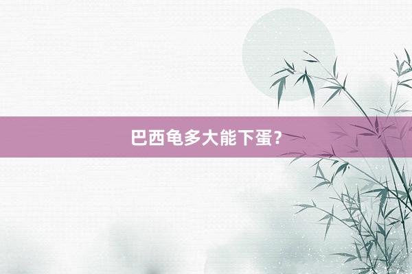 巴西龟多大能下蛋？